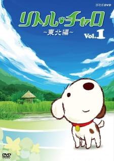 Magical Journey: Little Charo in Tohoku