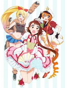 Nisekoi OVA