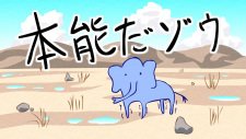 Passionate Elephant