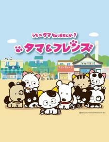 Tama &amp; Friends: Uchi no Tama Shirimasen ka?